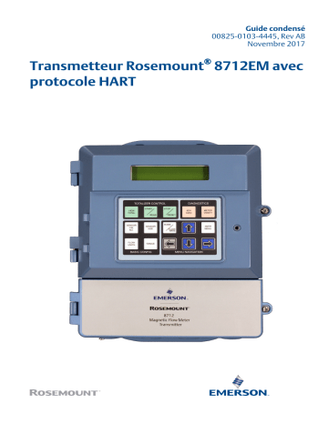 Rosemount Transmetteur 8712EM avec protocole HART Mode d'emploi | Fixfr