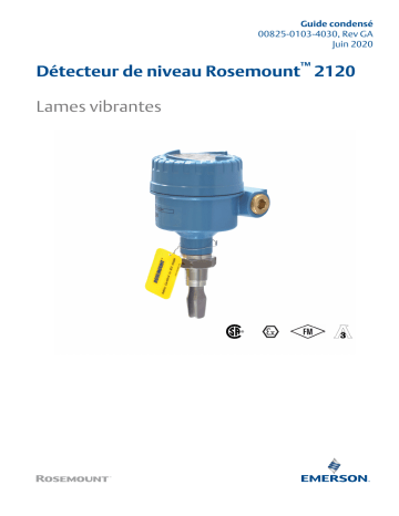 Rosemount 2120 Détecteur de niveau Lames vibrantes Mode d'emploi | Fixfr