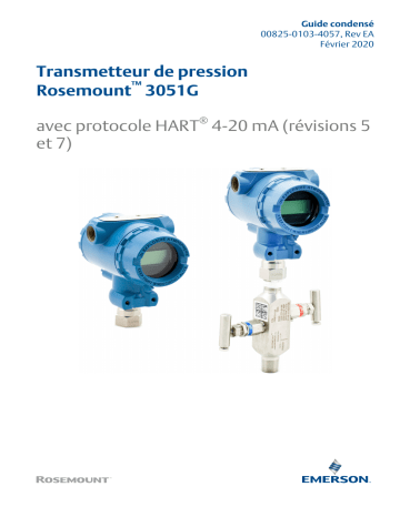 Rosemount Transmetteur de pression 3051G Mode d'emploi | Fixfr