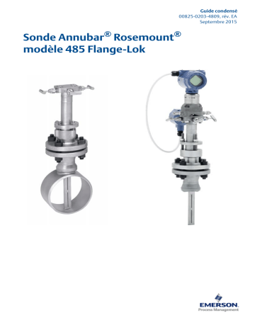 Rosemount 485 Sonde Annubar Flange-Lok Mode d'emploi | Fixfr