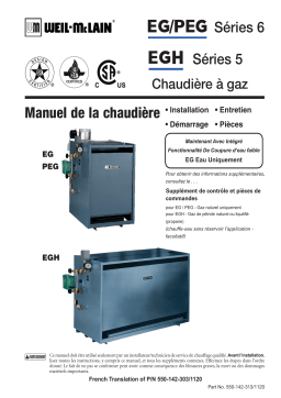 Weil-McLain EG Series 6 Gas Boiler Residential Manuel utilisateur