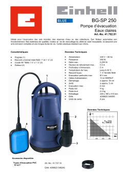 EINHELL BG-SP 250 Manuel du propriétaire