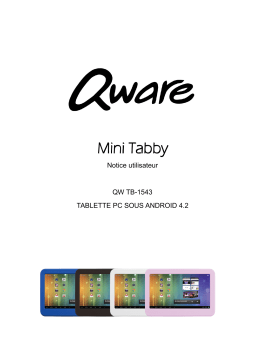 Qware TB-1543 Mini Tabby - ANDROID 4.2 Manuel du propriétaire