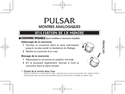 Pulsar Analogue Manuel du propriétaire