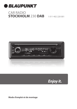 Blaupunkt STOCKHOLM 230 DAB Manuel du propriétaire