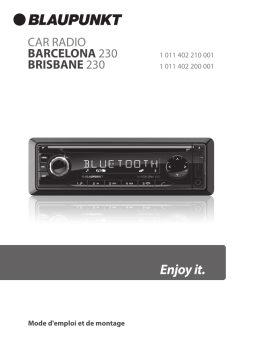 Blaupunkt BRISBANE 230 Manuel du propriétaire