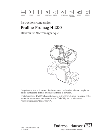 Endres+Hauser Proline Promag H 200 Brief Manuel utilisateur | Fixfr