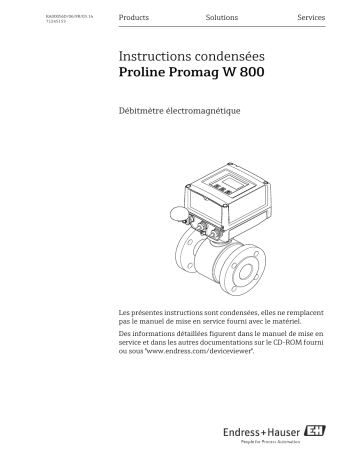 Endres+Hauser Proline Promag W 800 Brief Manuel utilisateur | Fixfr