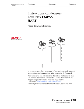 Endres+Hauser Levelflex FMP55 HART Brief Manuel utilisateur | Fixfr