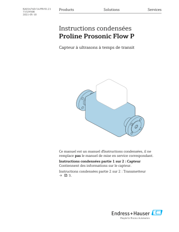 Endres+Hauser Proline Prosonic Flow P Manuel utilisateur | Fixfr