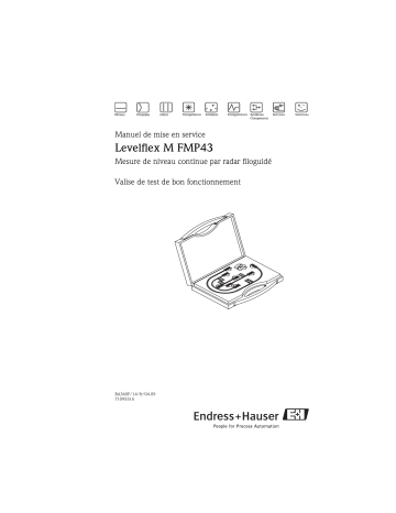 Endres+Hauser Levelflex M FMP43 Mode d'emploi | Fixfr