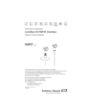 Endres+Hauser Levelflex M FMP45 Interface measurement Brief Manuel utilisateur | Fixfr