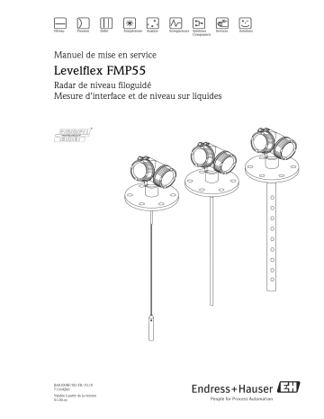 Endres+Hauser Levelflex FMP55 PROFIBUS PA Mode d'emploi | Fixfr