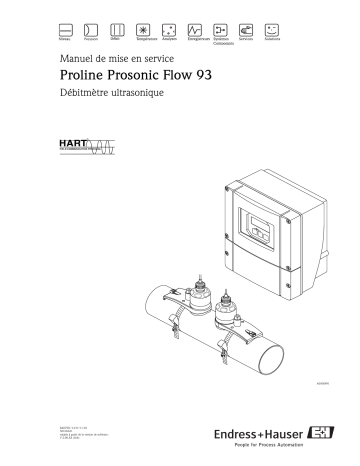 Endres+Hauser Prosonic Flow 93 HART Mode d'emploi | Fixfr