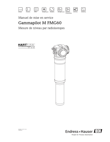 Endres+Hauser Gammapilot M FMG60 HART Mode d'emploi | Fixfr