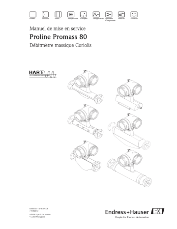 Endres+Hauser Proline Promass 80 HART Mode d'emploi | Fixfr