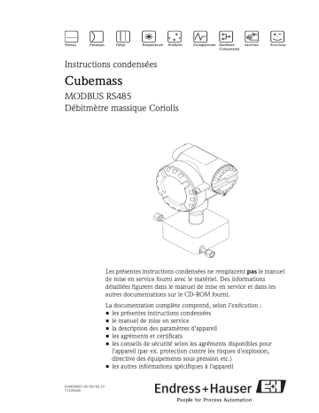 Endres+Hauser CubemassBrief Manuel utilisateur | Fixfr