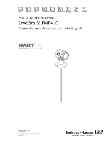 Endres+Hauser Levelflex M FMP41C Interface measurement Mode d'emploi | Fixfr