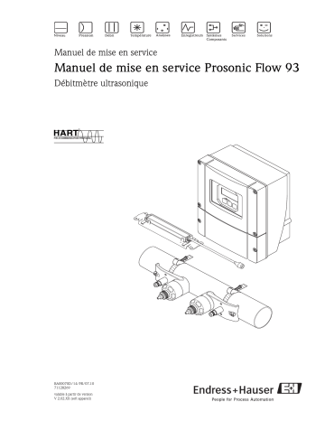 Endres+Hauser Prosonic Flow 93 HART Mode d'emploi | Fixfr