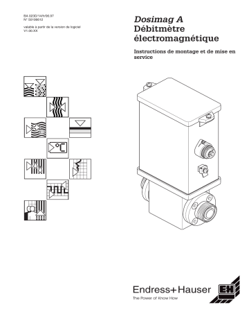 Endres+Hauser Dosimag A Mode d'emploi | Fixfr