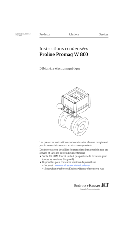 Endres+Hauser Proline Promag W 800 Brief Manuel utilisateur | Fixfr