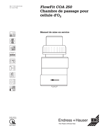 Endres+Hauser COA250 Mode d'emploi | Fixfr