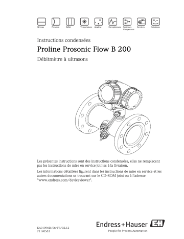 Endres+Hauser Proline Prosonic Flow B 200 Brief Manuel utilisateur | Fixfr