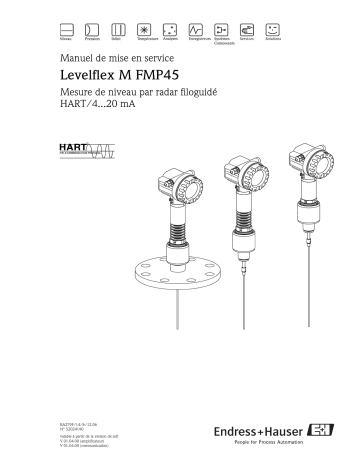 Endres+Hauser Levelflex M FMP45 HART Mode d'emploi | Fixfr