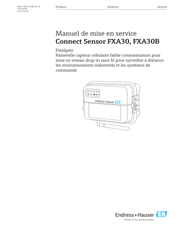 Endres+Hauser Connect Sensor FXA30, FXA30B Mode d'emploi | Fixfr