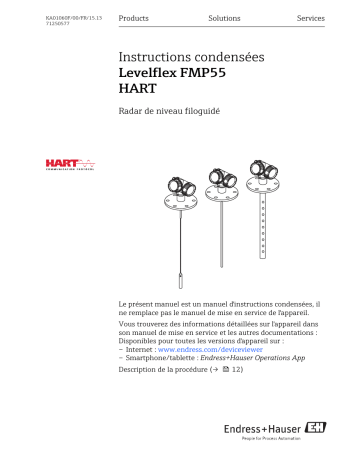 Endres+Hauser Levelflex FMP55 HART Brief Manuel utilisateur | Fixfr