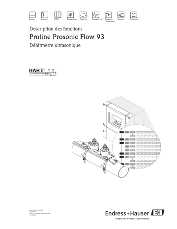 Endres+Hauser Prosonic Flow 93 HART Mode d'emploi | Fixfr