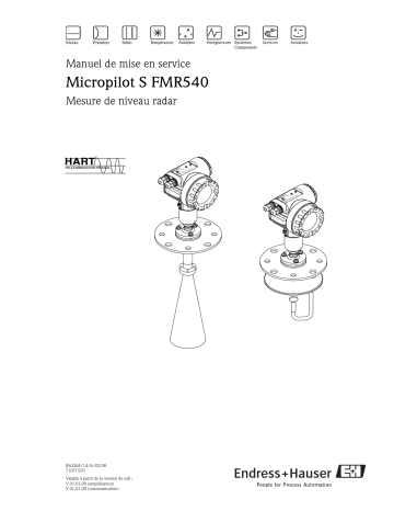Endres+Hauser Micropilot S FMR540 HART Mode d'emploi | Fixfr