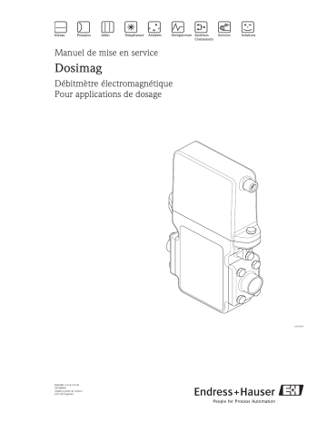 Endres+Hauser Dosimag Mode d'emploi | Fixfr