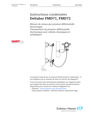 Endres+Hauser Deltabar FMD71, FMD72 Brief Manuel utilisateur | Fixfr
