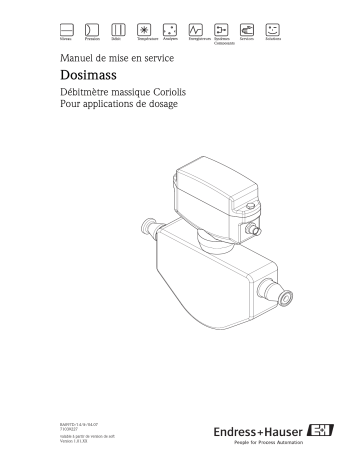 Endres+Hauser dosimass Mode d'emploi | Fixfr