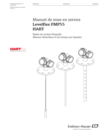 Endres+Hauser Levelflex FMP55 HART Mode d'emploi | Fixfr