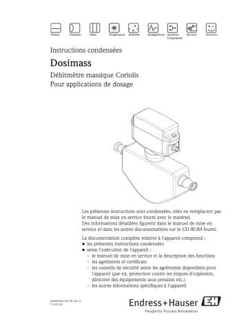 Endres+Hauser Dosimass Brief Manuel utilisateur | Fixfr