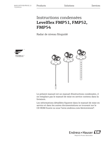 Endres+Hauser Levelflex FMP51, FMP52, FMP54 Brief Manuel utilisateur | Fixfr
