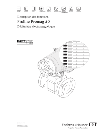 Endres+Hauser Proline Promag 50 Mode d'emploi | Fixfr