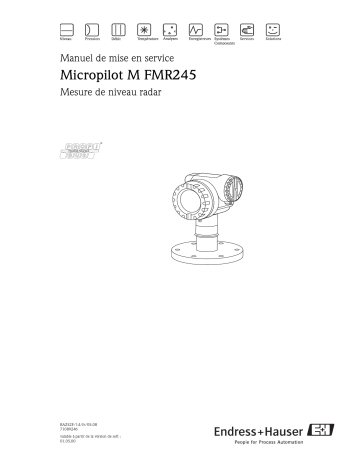 Endres+Hauser Micropilot M FMR245PROFIBUS PA Mode d'emploi | Fixfr