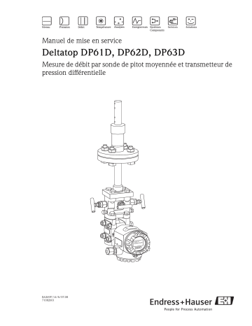 Endres+Hauser Deltatop - Pitot tubes Mode d'emploi | Fixfr