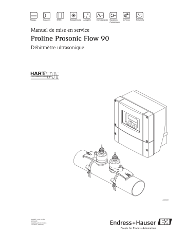 Endres+Hauser Prosonic Flow 90 Mode d'emploi | Fixfr