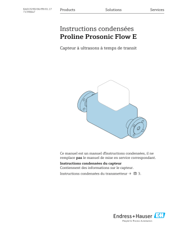 Endres+Hauser Proline Prosonic Flow E Brief Manuel utilisateur | Fixfr