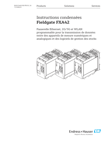 Endres+Hauser Fieldgate FXA42 Manuel utilisateur | Fixfr