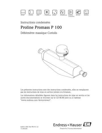 Endres+Hauser Proline Promass P 100 Brief Manuel utilisateur | Fixfr