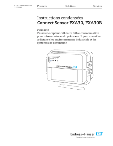 Endres+Hauser Connect Sensor FXA30, FXA30B Manuel utilisateur | Fixfr