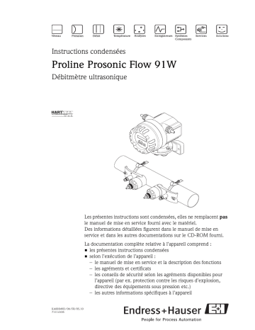 Endres+Hauser Proline Prosonic Flow 91W Brief Manuel utilisateur | Fixfr