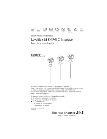 Endres+Hauser Levelflex M FMP41C Interface measurement Brief Manuel utilisateur | Fixfr