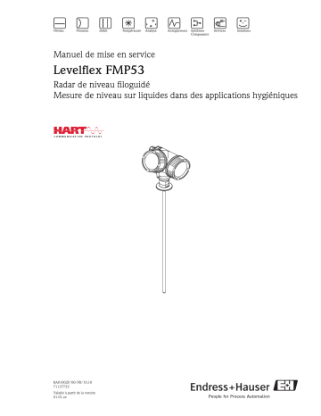 Endres+Hauser Levelflex FMP53 HART Mode d'emploi | Fixfr