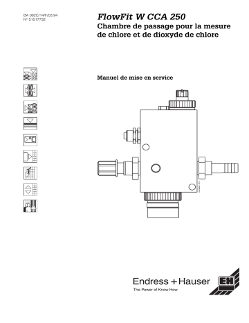 Endres+Hauser CCA250 Mode d'emploi | Fixfr